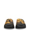 SLIDES WITH PRINT