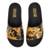 SLIDES WITH PRINT