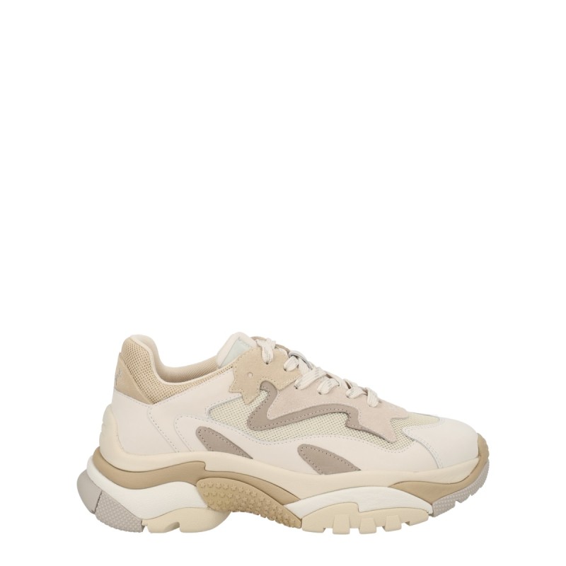 SNEAKER "ADDICT"