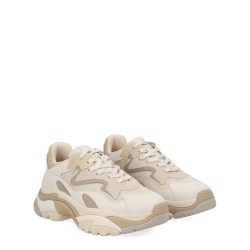 SNEAKER "ADDICT"
