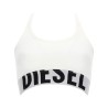 BRA "UFSB-COTTON-RACE"