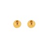 "TRIBUTE" EARRINGS