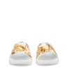 SLIDES WITH PRINT