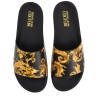 SLIDES WITH PRINT