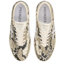 SNEAKER "DAVIDD"