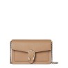PORTFOLIO "DIONYSUS"