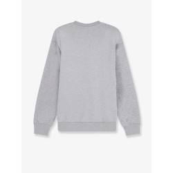 Cotton sweatshirt with front embroidered logo