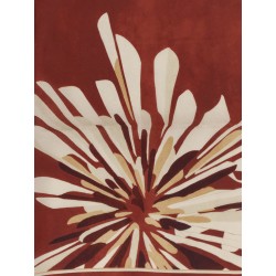Silk foulard