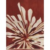Silk foulard