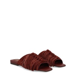 MULE "BRIGITTE"