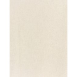 Ripalta linen and viscose blend T-shirt