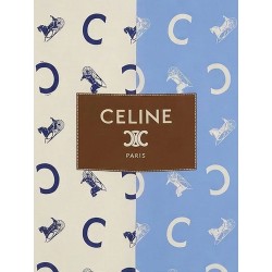 Silk foulard