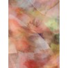 Luna Fanned multicolor top