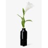 Galss Scented candle l'apparition