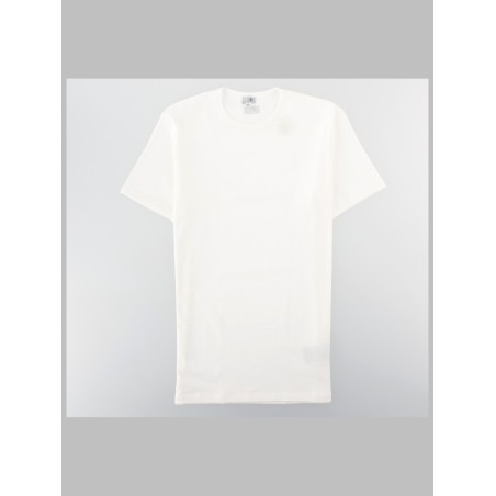 T-SHIRT IN COTONE