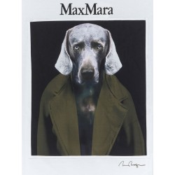 MxmCalca cotton T-shirt