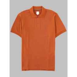 POLO "ARTIST STRIPE"