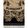 Gallant Knight cashmere scarf