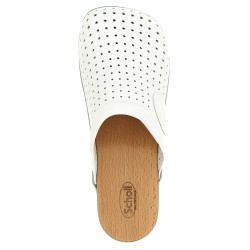 'Clog' x Scholl sabots