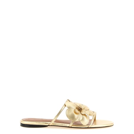 'Orchid' slides