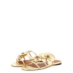 'Orchid' slides