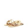 'Orchid' slides