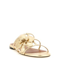 'Orchid' slides