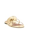 'Orchid' slides