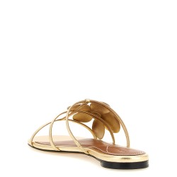 'Orchid' slides