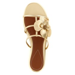 'Orchid' slides