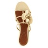 'Orchid' slides