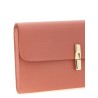 Iris Clutch