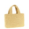 ValentinoGaravani 'VivaSuperstar' small shopping bag
