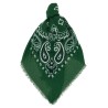 Bandana Stole