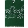 Bandana Stole