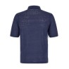 Polo Argyle