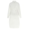 Chemisier dress