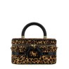 'Belle Vivier Vanity' mini handbag