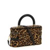 'Belle Vivier Vanity' mini handbag