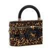 'Belle Vivier Vanity' mini handbag