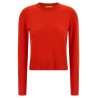 'Shrunken Crew' sweater