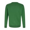 Argyle sweater