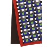 Medium silk scarf