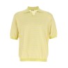 Polo Skipper