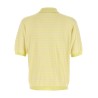 Polo Skipper