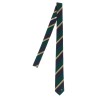 Valentino Garavani 'Valentie' tie