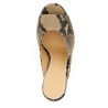 Python print mules