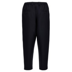 Tropical wool crop pants