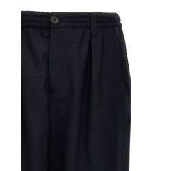 Tropical wool crop pants