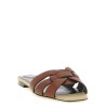 'Tribute' mules
